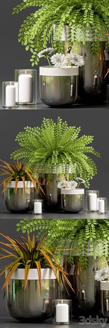 DECORATIVE PLANT WITH GERBERA FLOWER