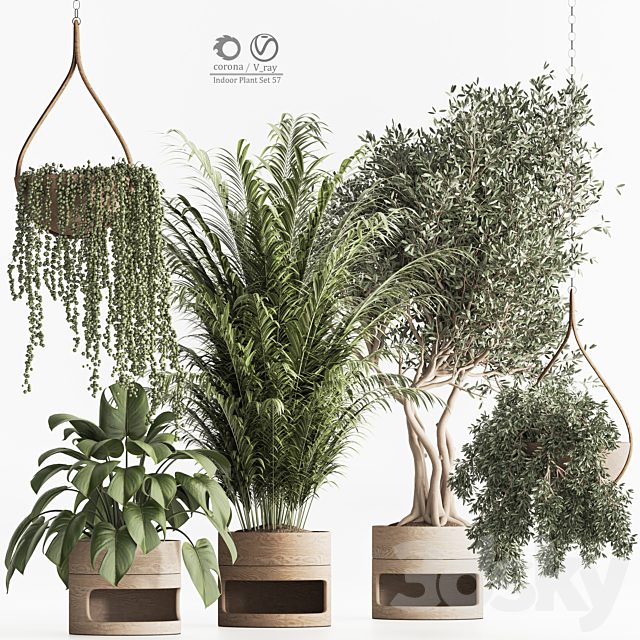 Indoor Plant Set 57