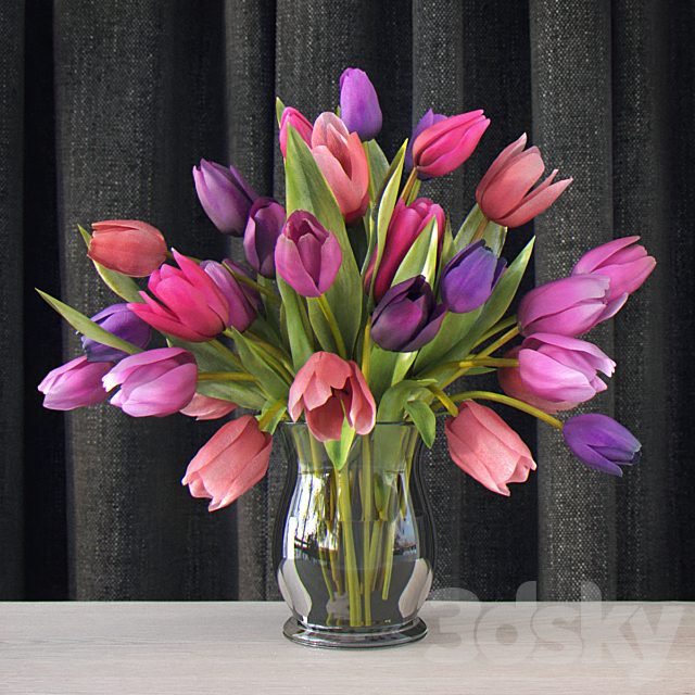 Tulips