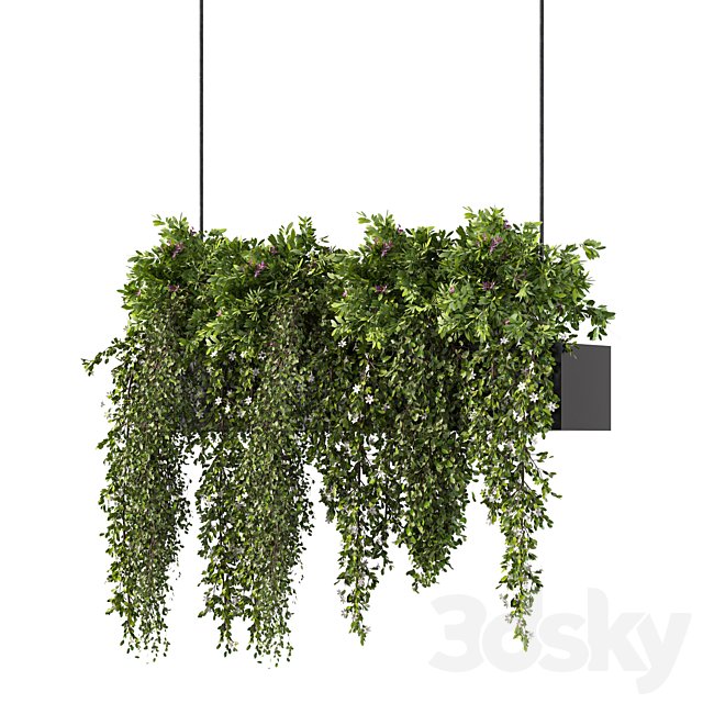 Hanging Plant Set.240