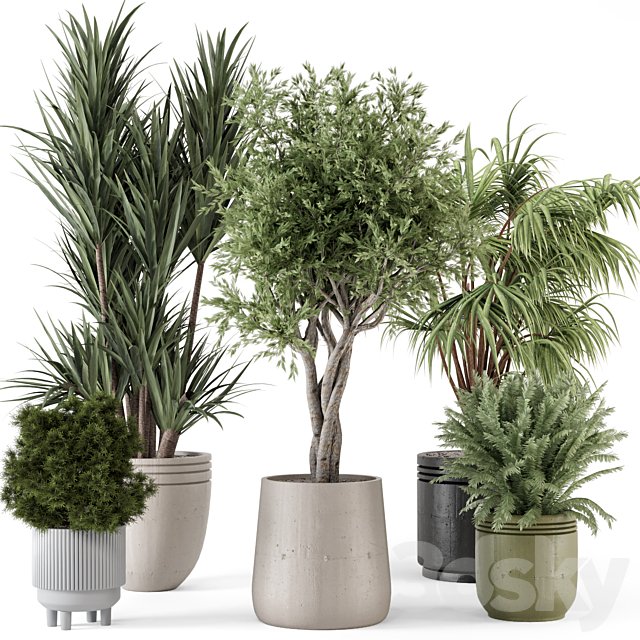 Indoor Plants in Ferm Living Bau Pot Large - Set 817