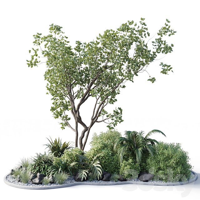 garden pot tree bush - Collection outdoor indoor 113