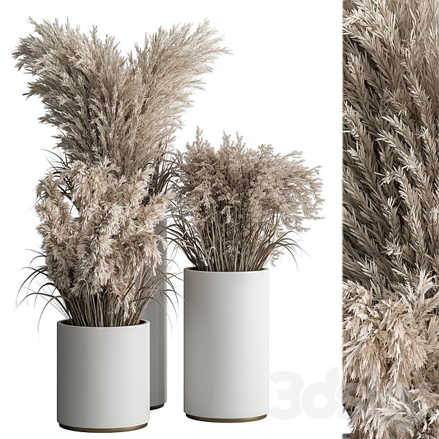 indoor Plant Set 406 - Dried Plant Set in Pot