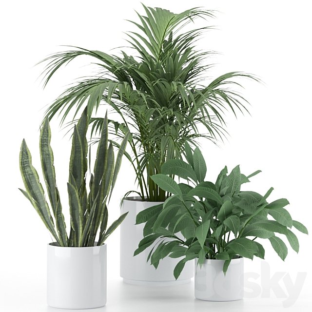 Plant-Set-001
