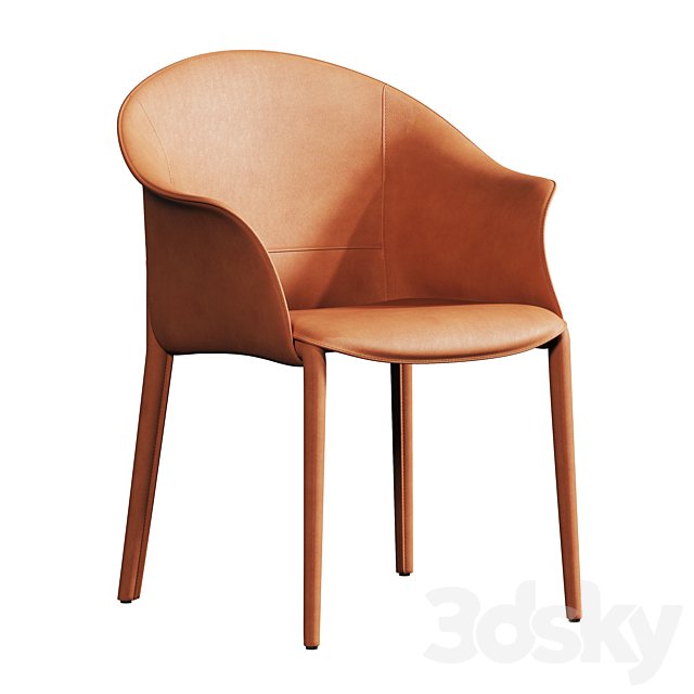 Leisure dining chair