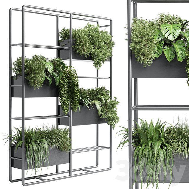 stand plant box - collection Indoor plant 254 metal vase pot fern grass
