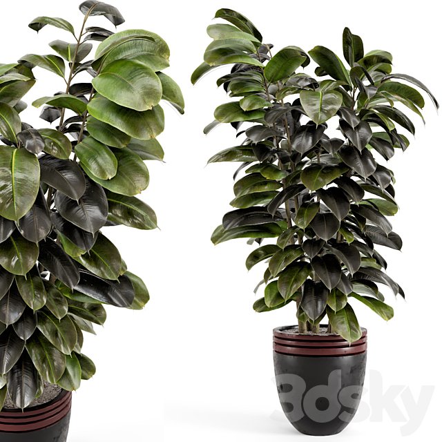 Indoor Plants in rusty Concrete Pot - Set 881