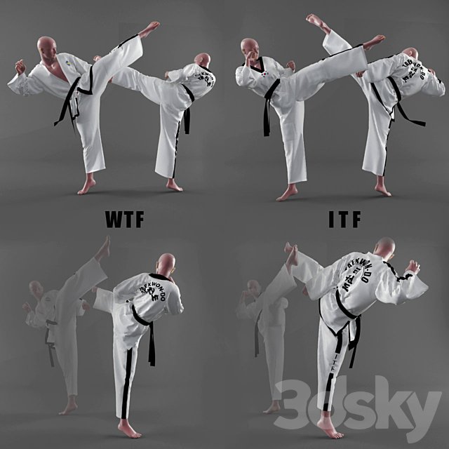 Form of taekwondo
