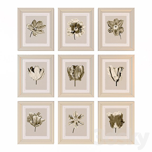 Charlotte Morgan Watercolour Tulips Sepia Nine Piece