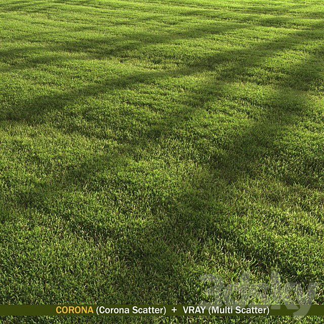 lawn landscape