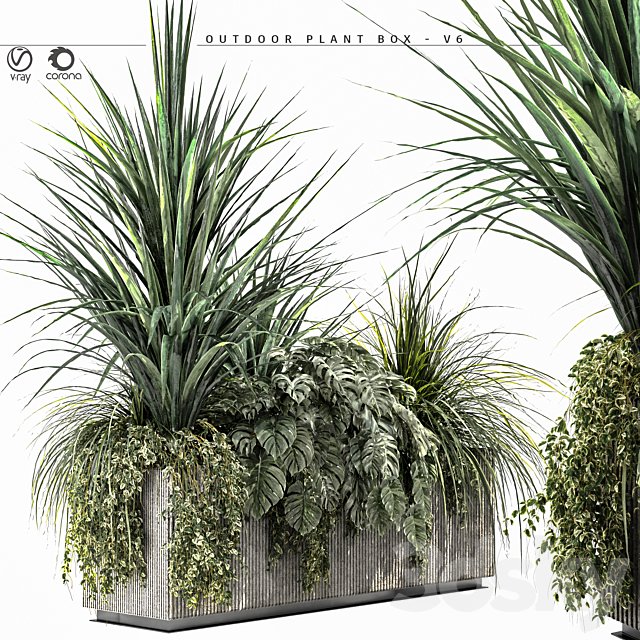 Outdoor Plant BOX-V6