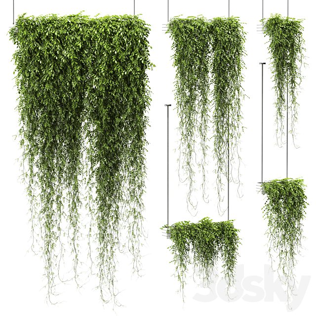 Plants in hanging pots v4. 5 models