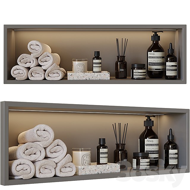 Shelf above the toilet
