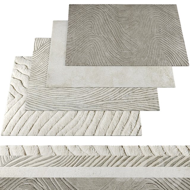 Rugs310