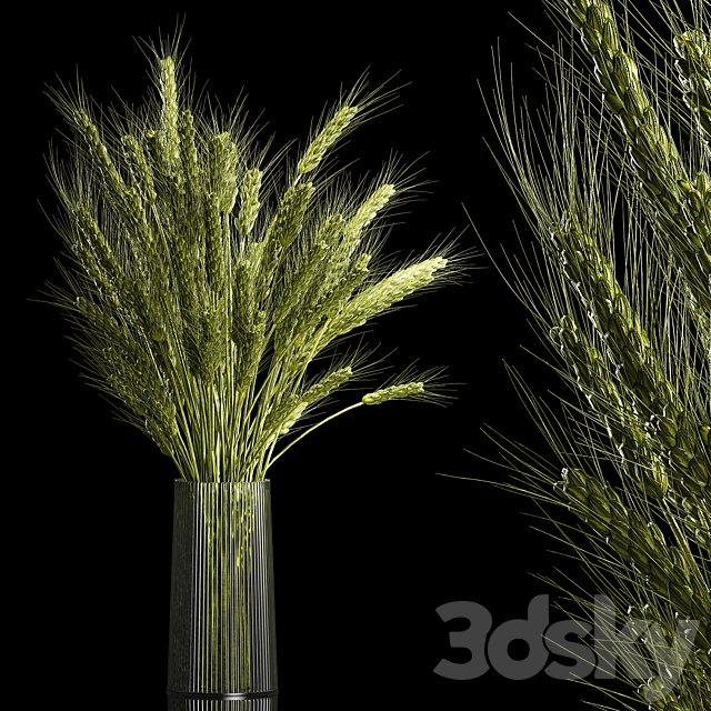 Bouquet of green flowers in a glass vase for decoration of wheat branches, spikelet. 265.