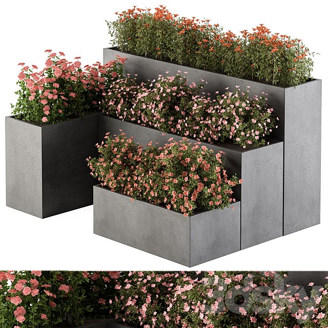 Flower Box - Outdoor Plants 436