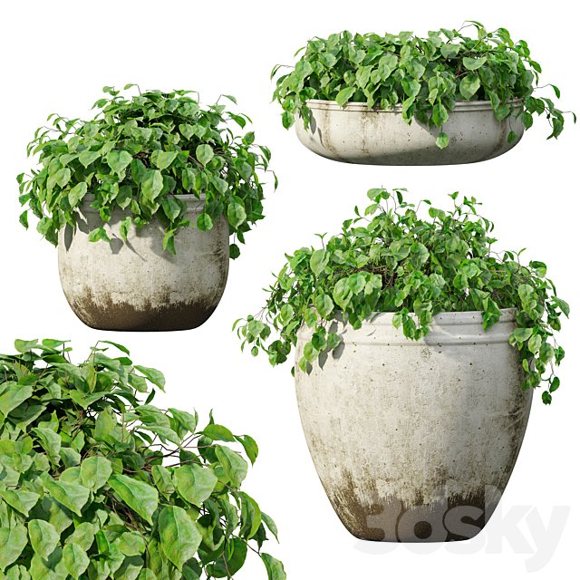 Flower planter 02
