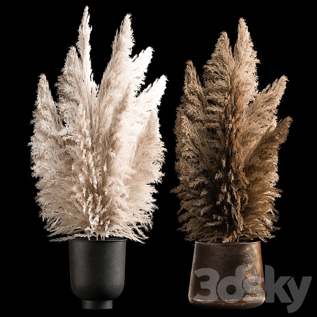 Dried flower bouquet of dried reeds in a rusty metal pot from pampas grass, Cortaderia. 272.