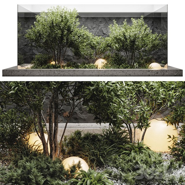 plants behind glass