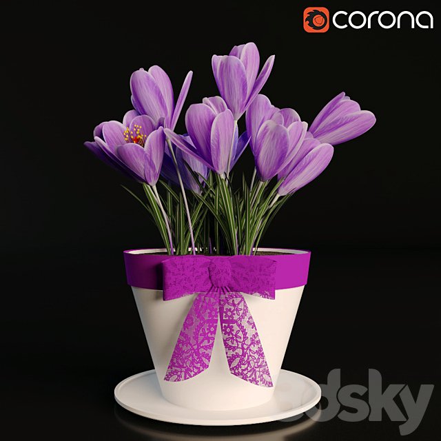 A pot of crocuses