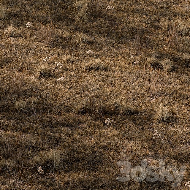 Dry Grass Set 16