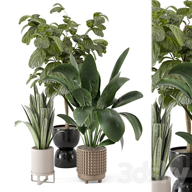 Indoor Plants in Ferm Living Bau Pot Large - Set 1044