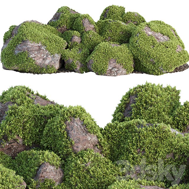 Mossy rock garden collection vol 140