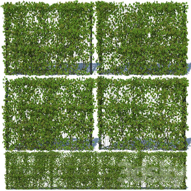 Metal Fence 3D (H-203) with Ivy v3