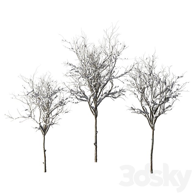 Tree Winter Snow Set.186