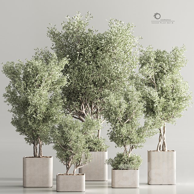 Indoor Plant Set 82