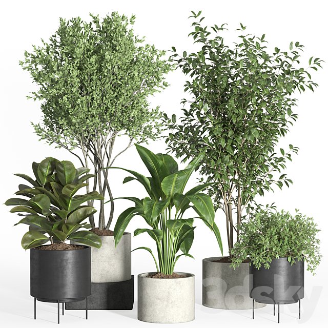 indoor plant set 35-concrete and metal pot