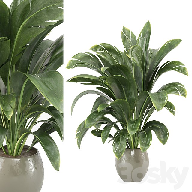 indoor Plants Collection - Set 586