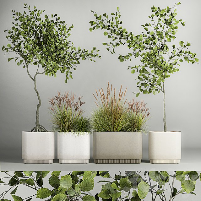 A set of plants with trees for the street and interior, a flowerpot with bushes, potted grass. 1124.