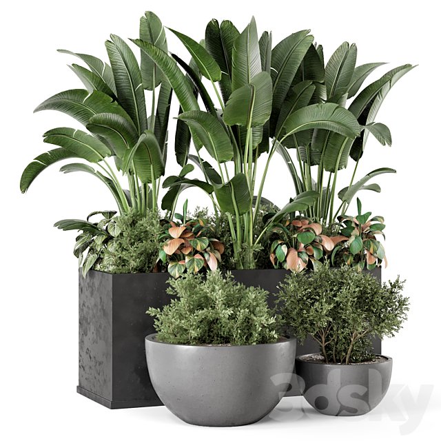 Outdoor Garden set Bush and Tree - Garden Set 1144