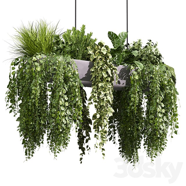 plant vol 1148