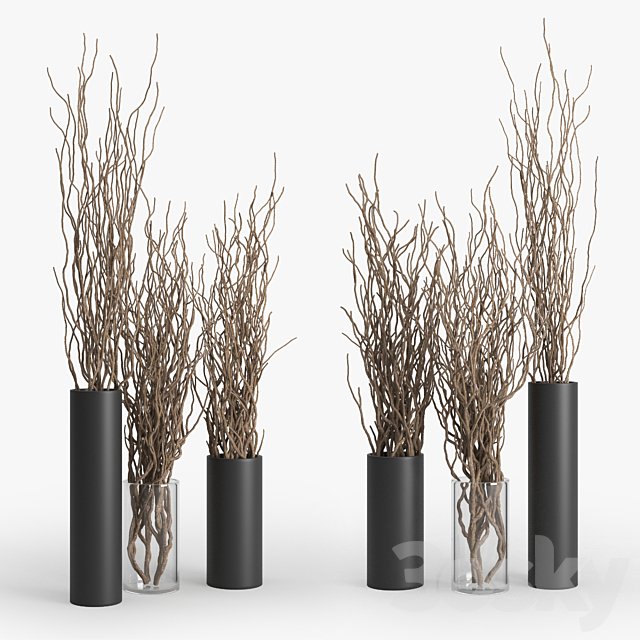 Dry Branch