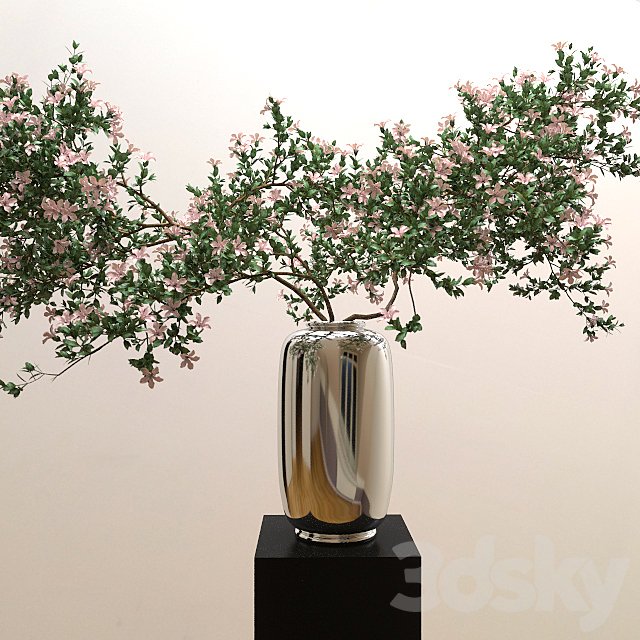 Branches of serrisa