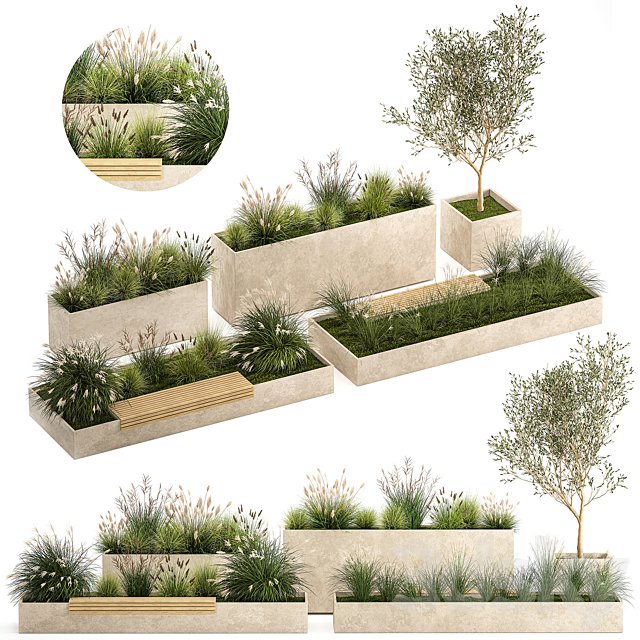 Collection of plants for the urban environment with a flower bed, a bench and concrete outdoor flowerpots, bushes and grass, Miscanthus, olive tree, garden. 1141.