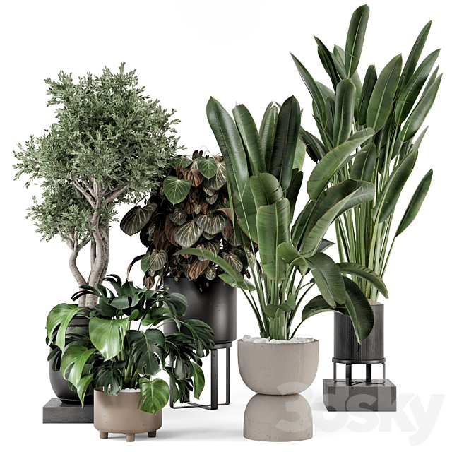 Indoor Plants in Ferm Living Bau Pot Large - Set 1204