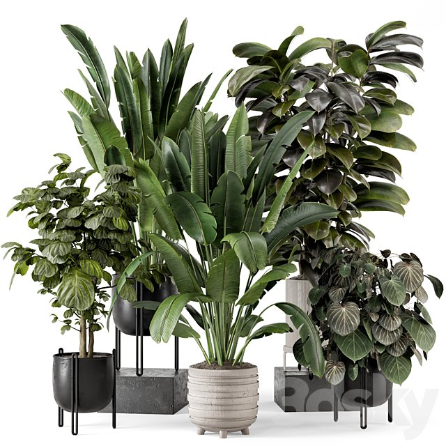 Indoor Plants in Ferm Living Bau Pot Large - Set 1208