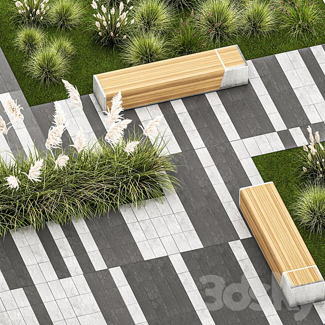 Plants for the urban environment with paving slabs, bench, bench, pampas grass bushes, Cortaderia. 1151.