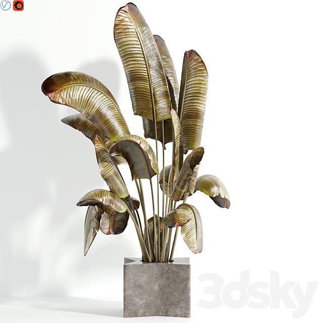 Indoor plant 101