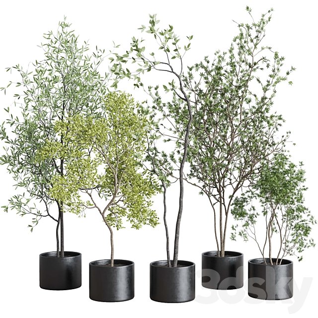 collection indoor plant 326 concrete vase