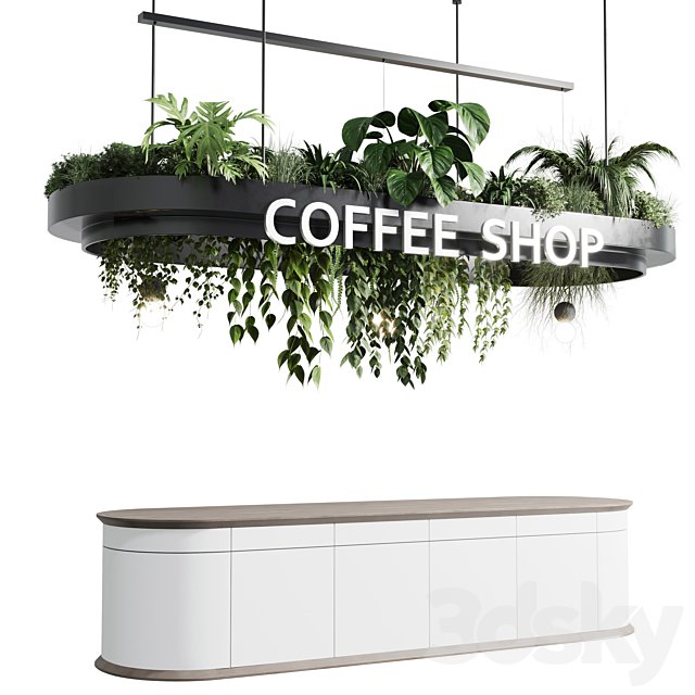 Coffee shop reception, Restaurant counter by hanging plant - 01