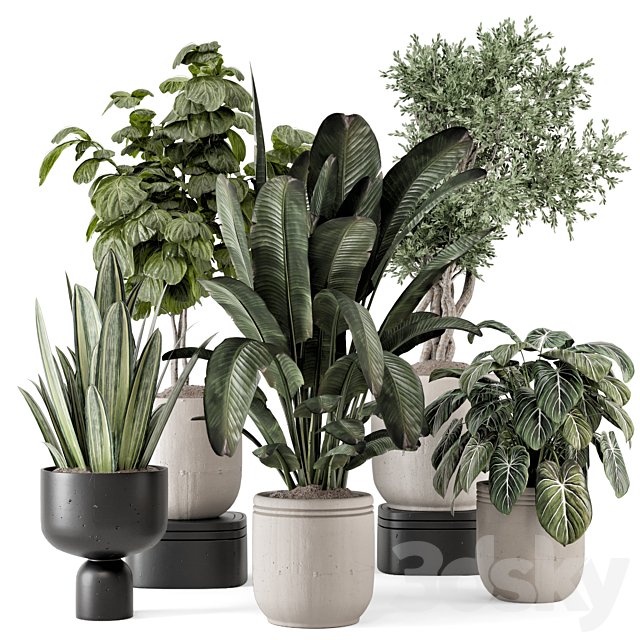 Indoor Plants in rusty Concrete Pot - Set 1286