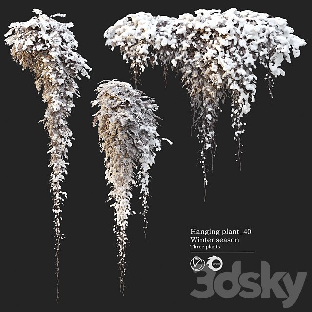 Hanging plant 40