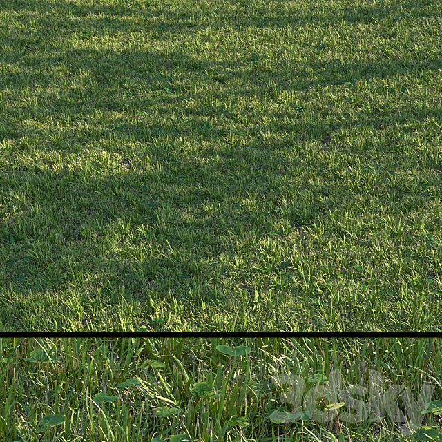 grass set04