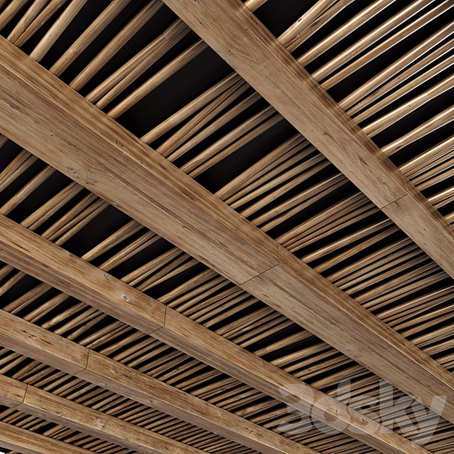 Branch ceiling n3