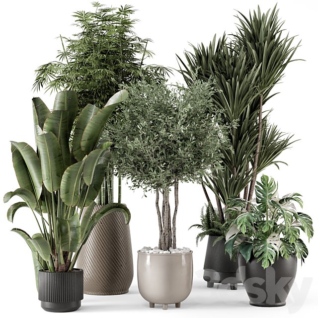 Indoor Plants in Ferm Living Bau Pot Large - Set 1325