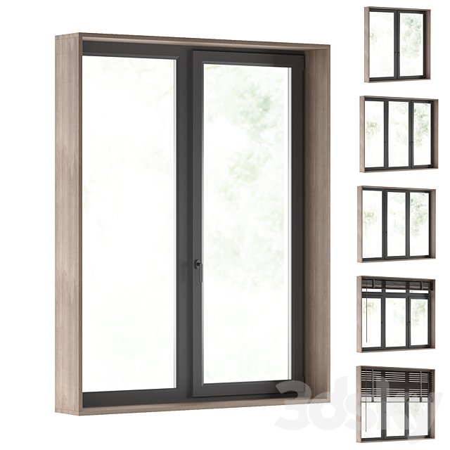 Modern windows + blinds